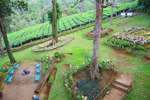 Oak Field Resort Munnar Ngoại thất bức ảnh