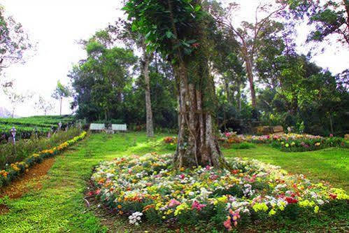 Oak Field Resort Munnar Ngoại thất bức ảnh